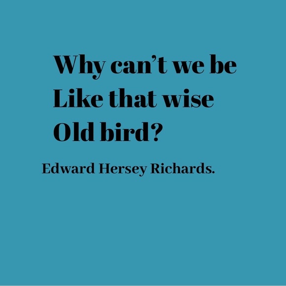 Alquimia Turquoise and Red Beaded Bracelet Set - Picture 9 of 12